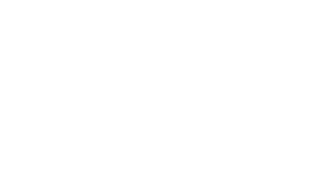 logo d'. diamant bleu